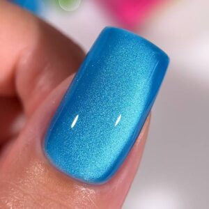 Cat color Blue Lagoon
