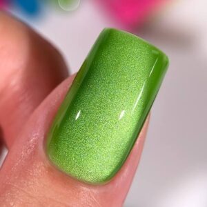 Cat color Mojito
